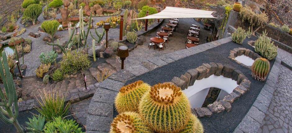 Jardín de Cactus Museos y centros turísticos de Lanzarote