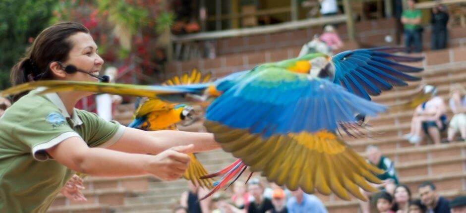 Jungle Park, Tenerife’s Zoos