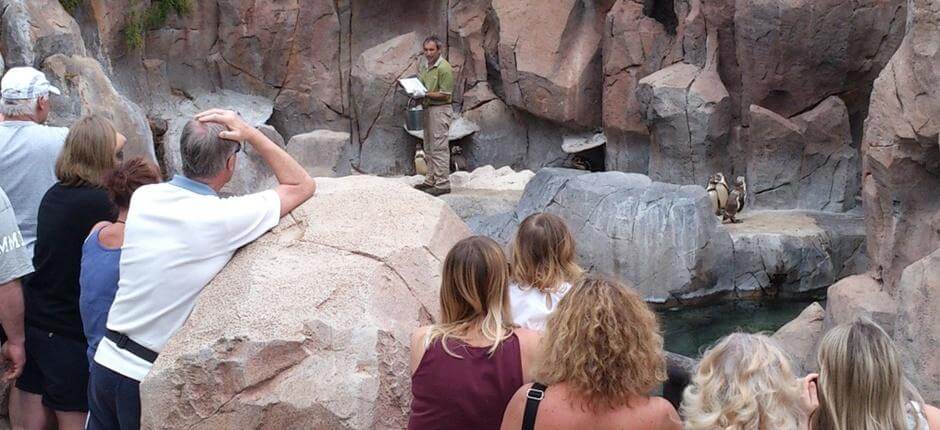 Jungle Park, Tenerife’s Zoos