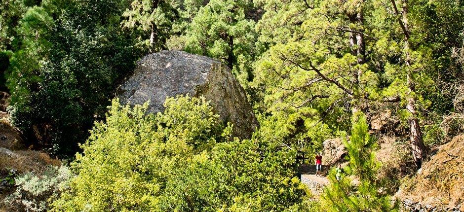 Caldera de Taburiente + Pathways of La Palma 