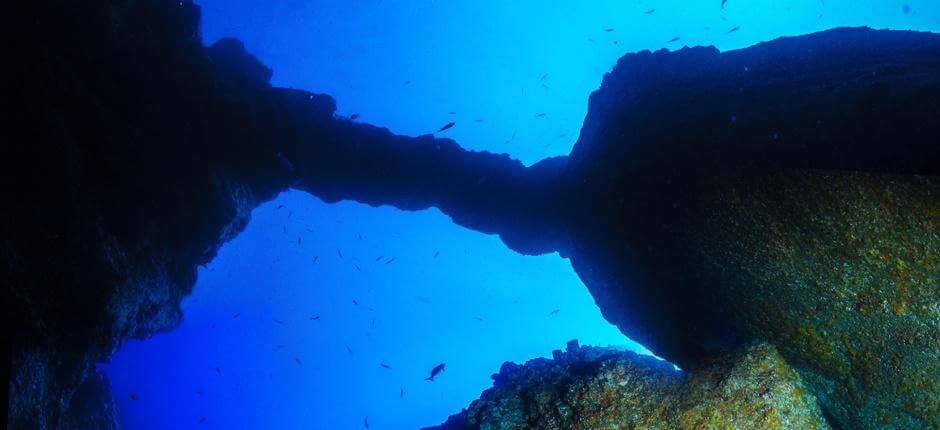 Scuba diving at La Catedral in Tenerife