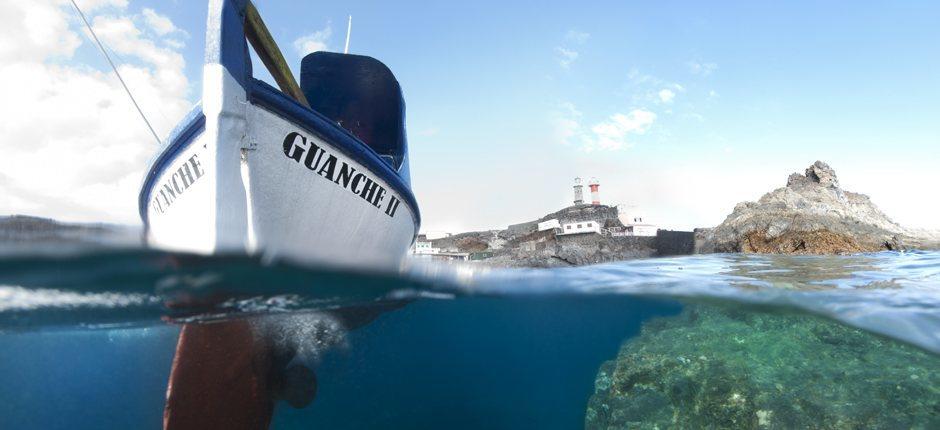 Diving in Malpique, in La Palma