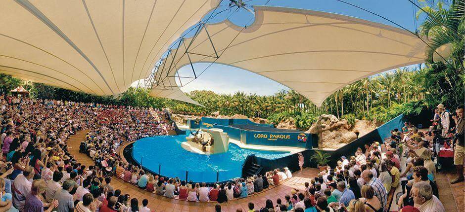 Loro Parque, Tenerife’s Zoos