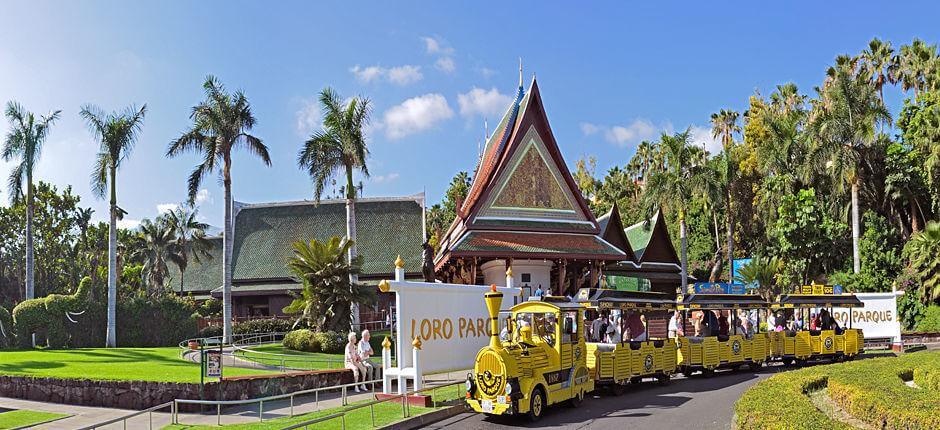 Loro Parque, Tenerife’s Zoos