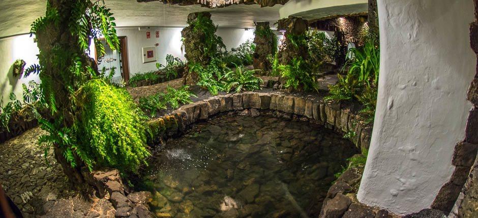 Jameos del Agua. Museums and tourist centres of Lanzarote 