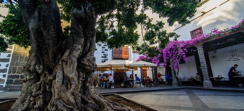 Los Llanos de Aridane Old Town + Historic quarters of La Palma