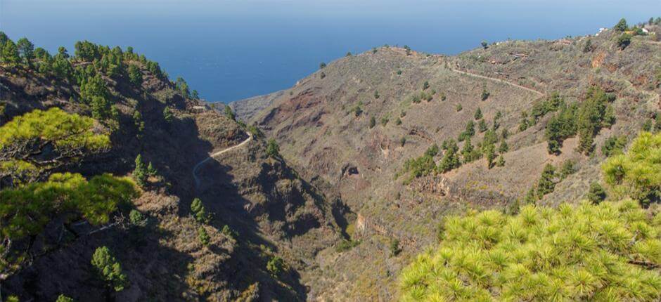 Izcagua viewing point on La Palma
