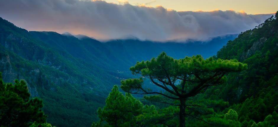 La Cumbrecita Viewpoint, Viewpoints in La Palma