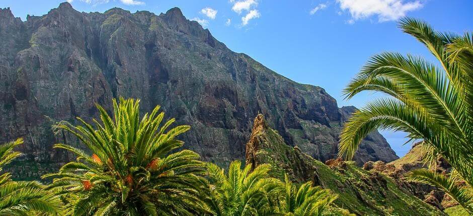 Masca. Stargazing in Tenerife