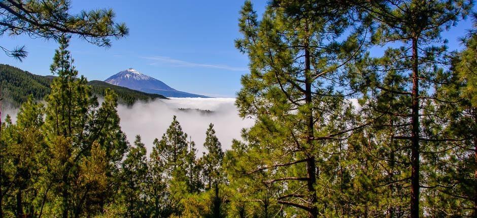 Ortuño Viewpoint, Viewpoints in Tenerife 