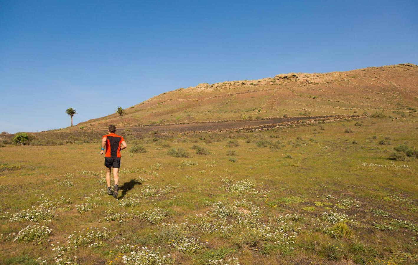 Montaña Blanca-Trail