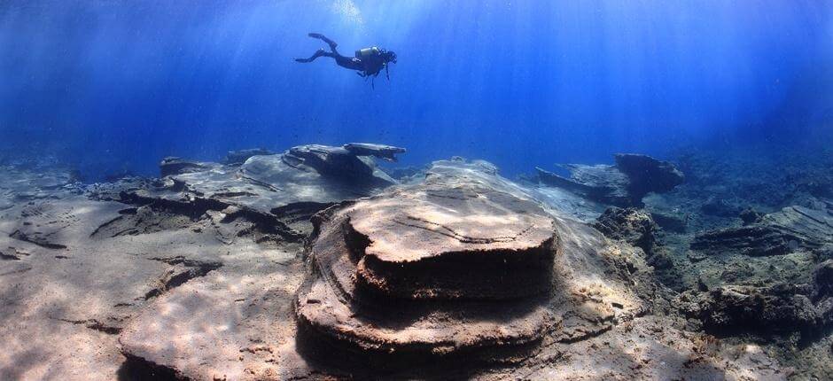 Diving at Montaña Amarilla, in Tenerife