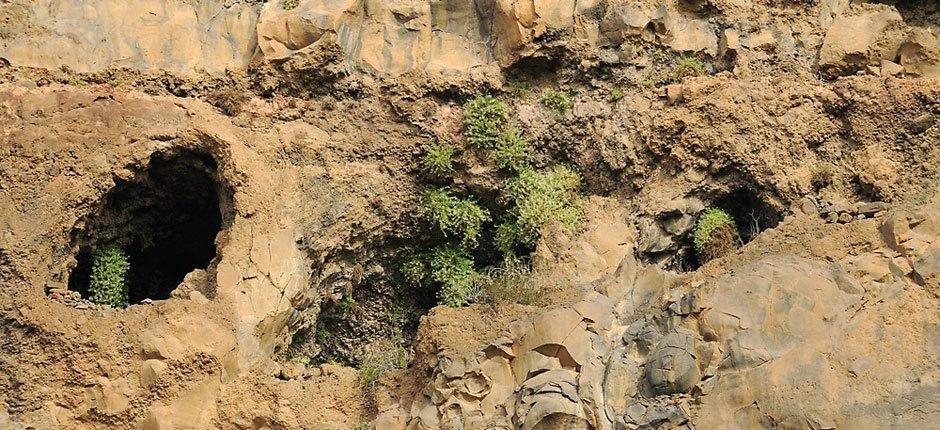 Monumento Natural del Barranco de Guayadeque, en Gran Canaria