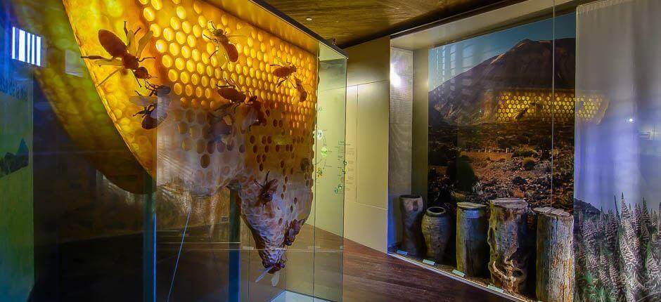 House of Wine and Honey, Museums and tourist centres in Tenerife