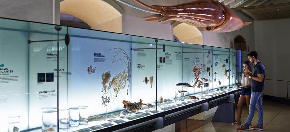MUNA – The Museum of Nature and Archaeology