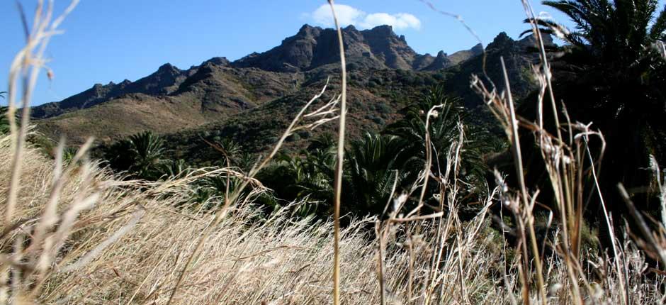 Parque Rural de Anaga, en Tenerife