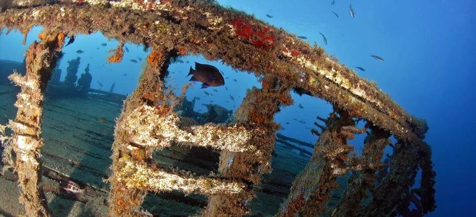 Wrecks in el Quíquere. Diving in Lanzarote 