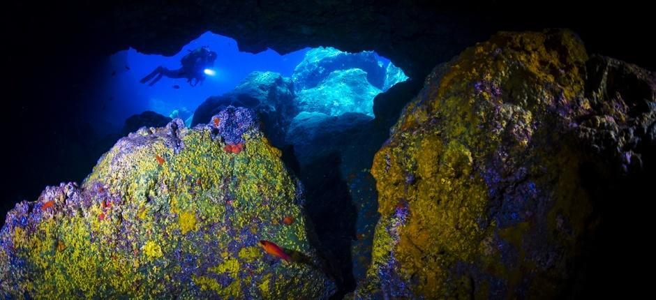 Dive in Playa Chica in Lanzarote