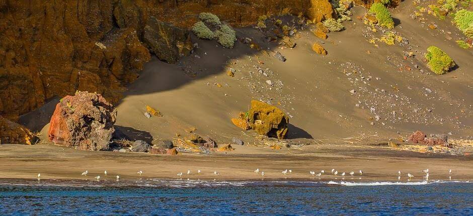 Antequera beach + Virgin beaches in Tenerife
