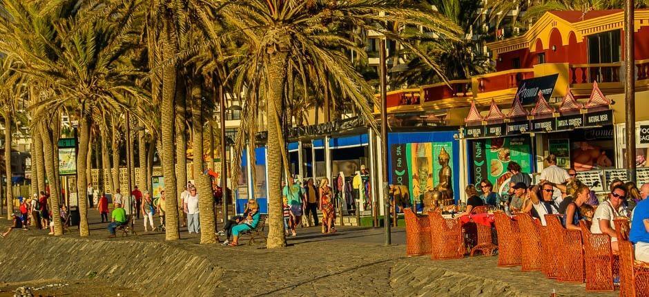 Playa de las Americas  Tourist Destinations in Tenerife