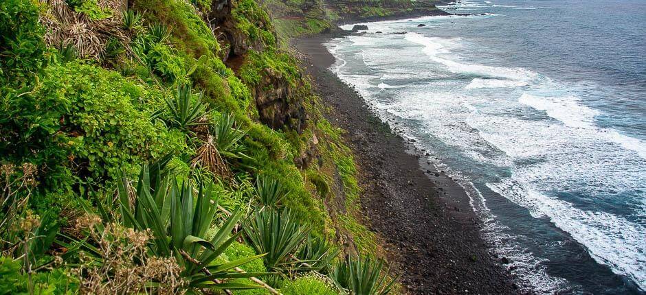 Los Patos beach. Virgin beaches in Tenerife