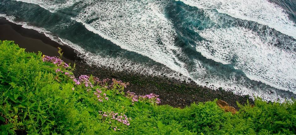 Los Patos beach. Virgin beaches in Tenerife