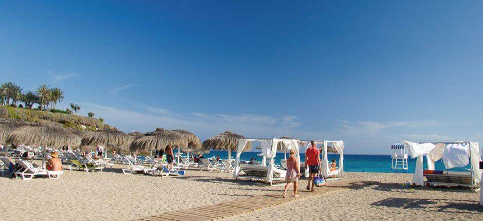 Playa del Duque in Tenerife