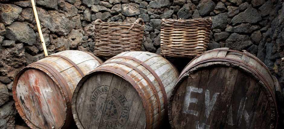 Guinea Ecomuseum, Museums and tourist centres in El Hierro