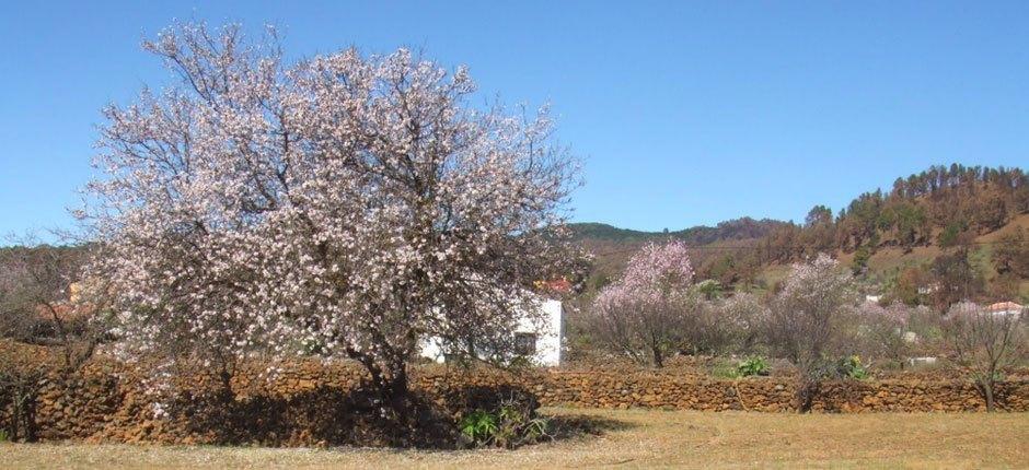 El Pinar, Charming towns of El Hierro