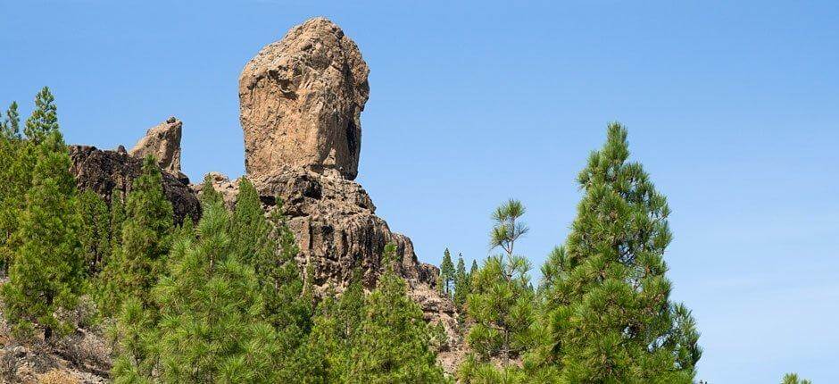 Roque Nublo + Pathways of Gran Canaria