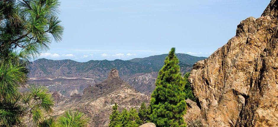 Roque Nublo + Pathways of Gran Canaria 