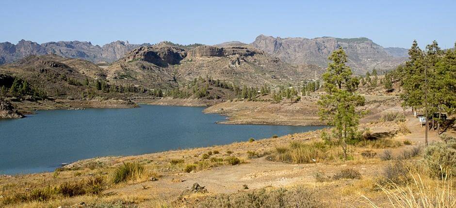 Trekking in Ruta de las Presas + Trekking in Gran Canaria 