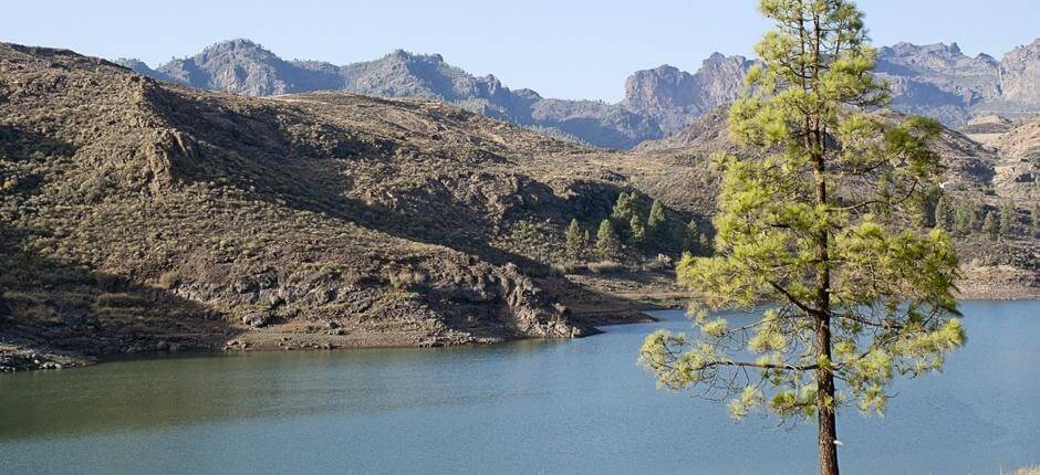 Trekking in Ruta de las Presas + Trekking in Gran Canaria 