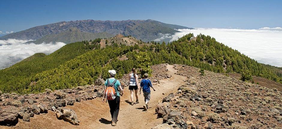 Ruta de los Volcanes + Pathways of La Palma 