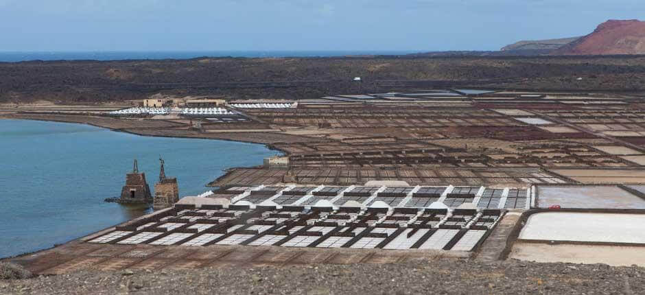 Janubio Salt Mines in Lanzarote 