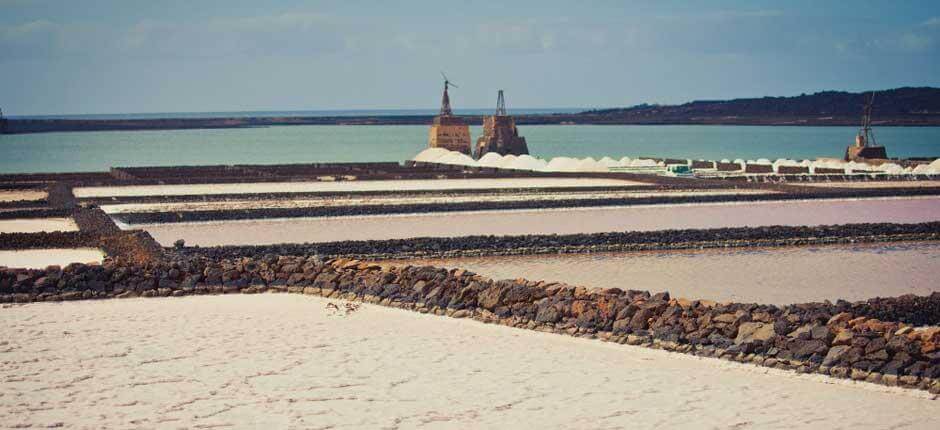 Janubio Salt Mines in Lanzarote 