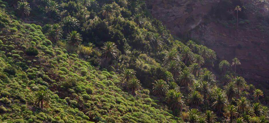 Taguluche Hamlets of La Gomera