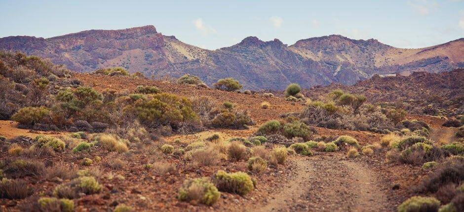 Trail Running Routes Tenerife + Trail Running Routes 