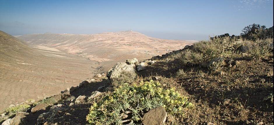 Vallebrón + Pathways of Fuerteventura