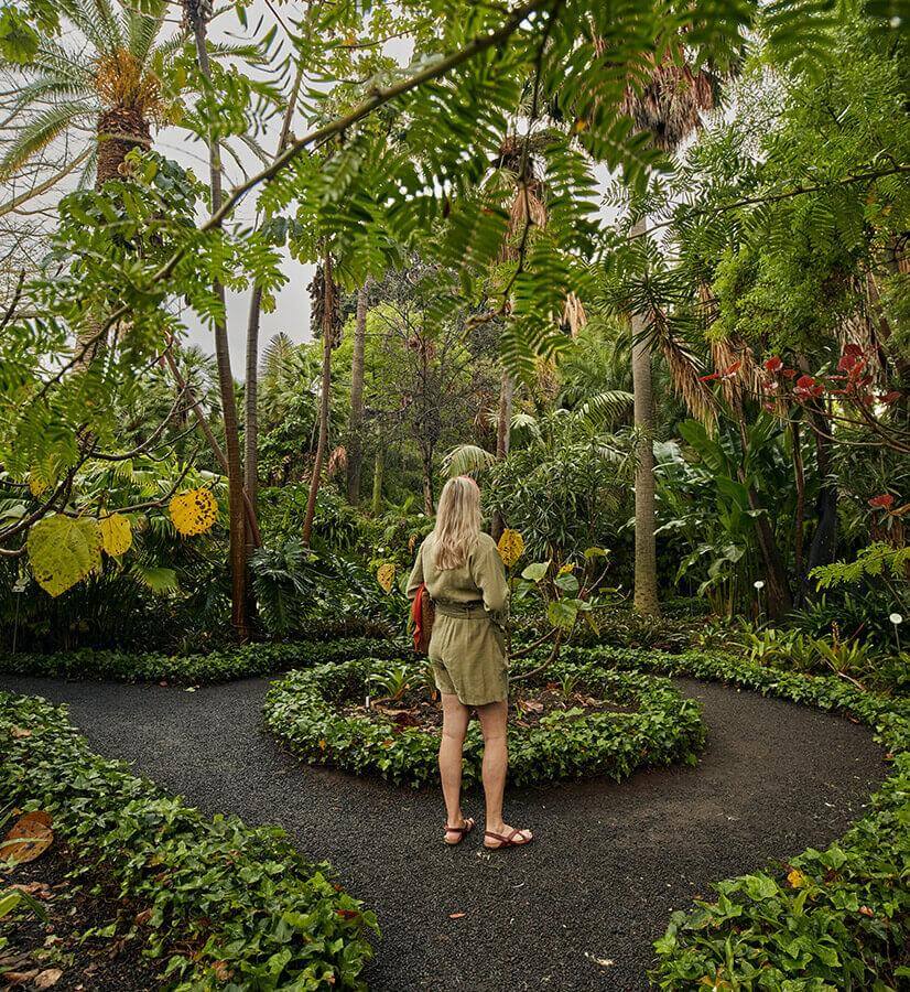 The Acclimatisation Garden of La Orotava (Tenerife)