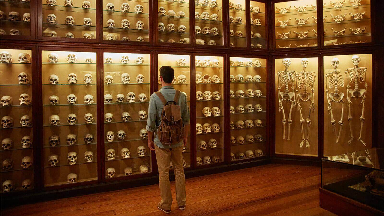 The Skull room of The Canarian Museum, Gran Canaria.