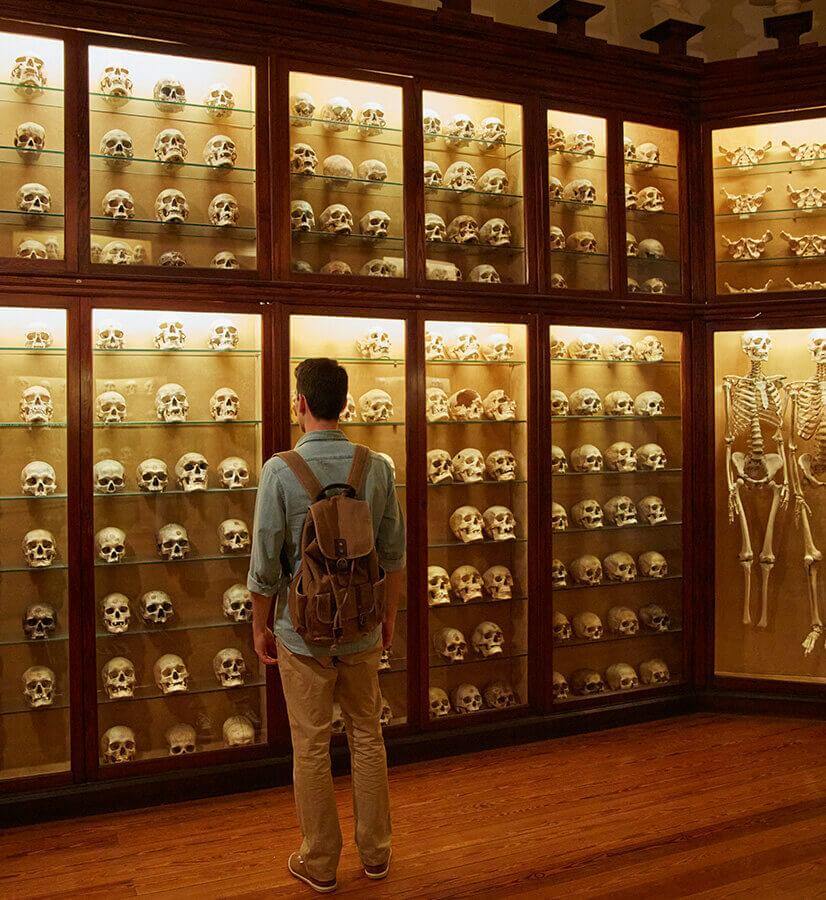 The Skull room of The Canarian Museum, Gran Canaria.