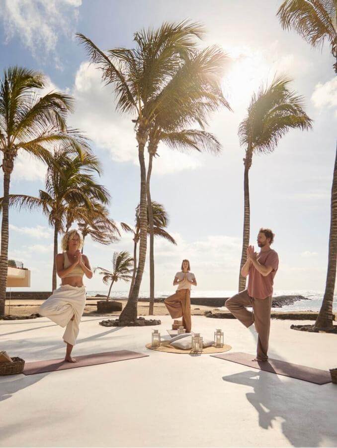 Group practising yoga outdoors by the sea, surrounded by palm trees and natural light in a serene, exclusive setting.