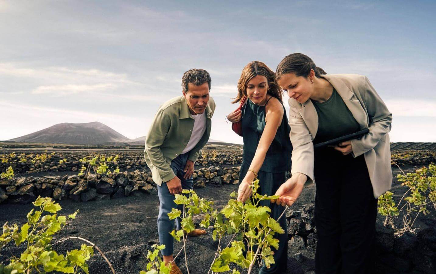 Group observing vineyards on volcanic soil, taking part in a wine tourism experience with a backdrop of natural scenery.