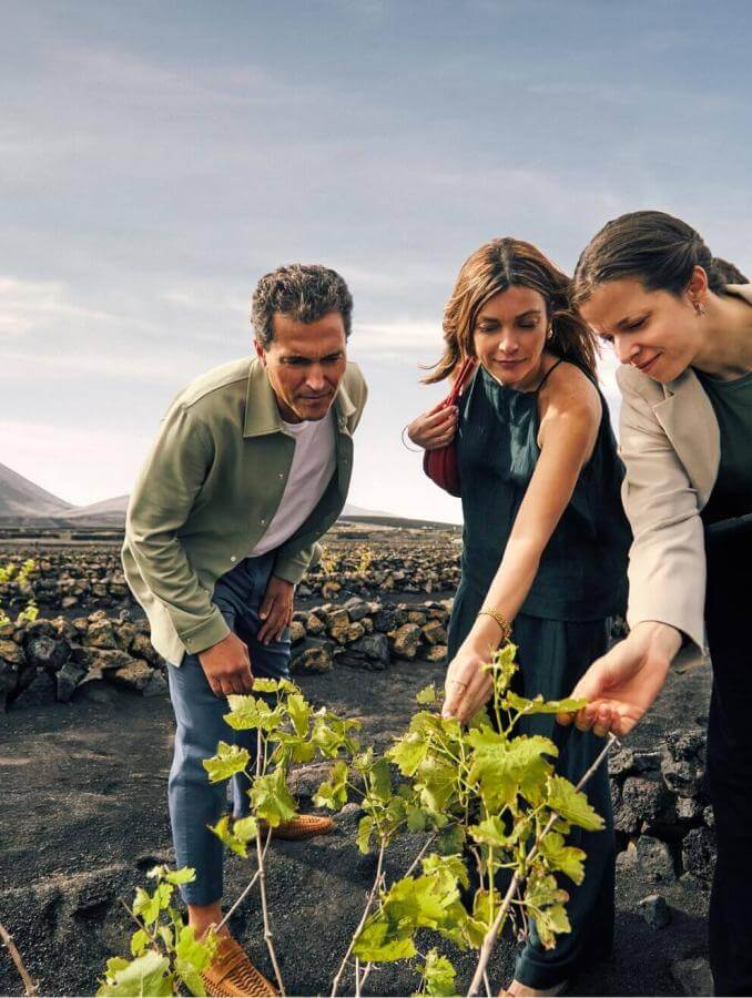 Group observing vineyards on volcanic soil, taking part in a wine tourism experience with a backdrop of natural scenery.
